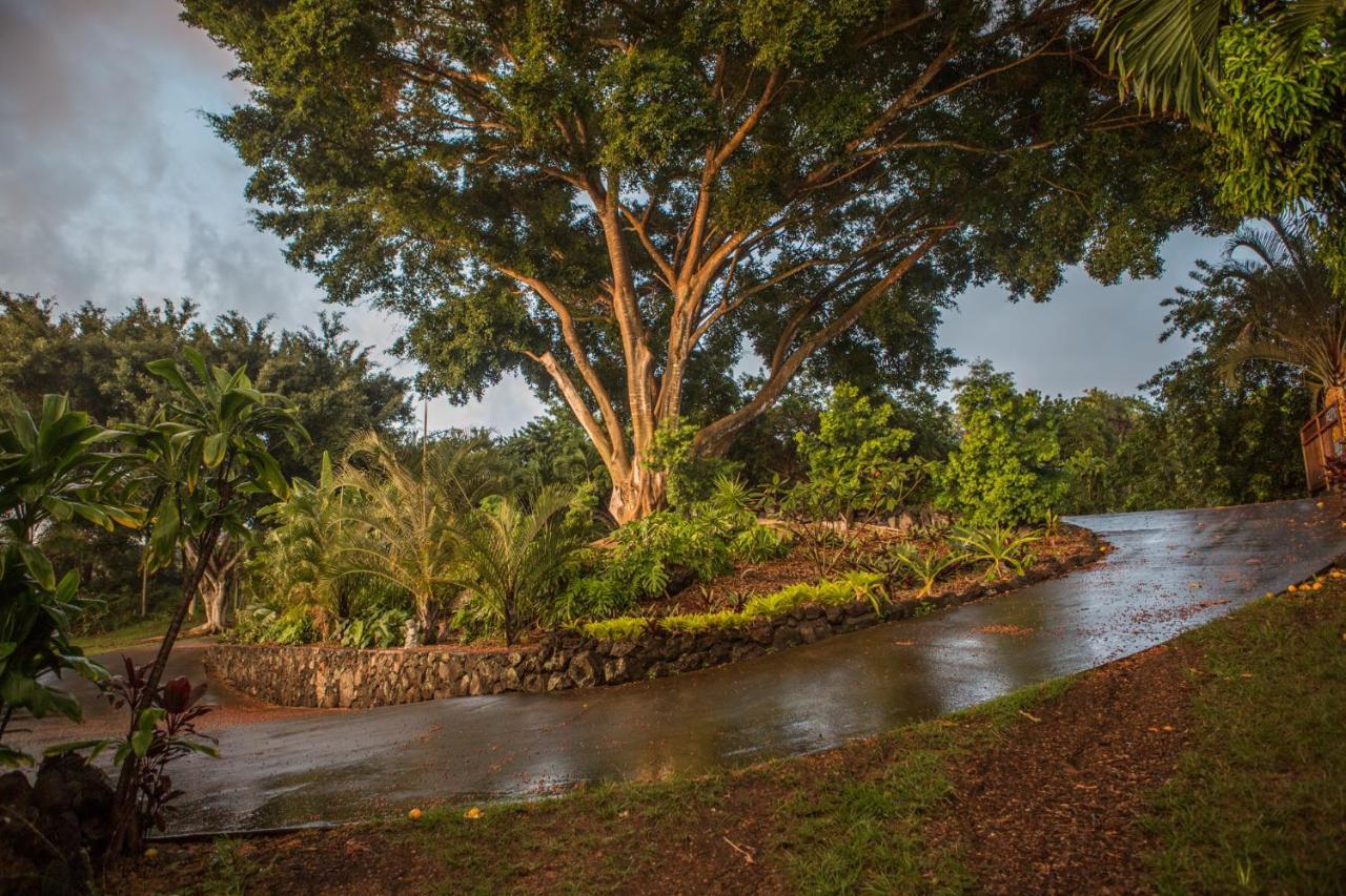 Banyan Tree Sanctuary Guest House Kalaoa Exterior photo